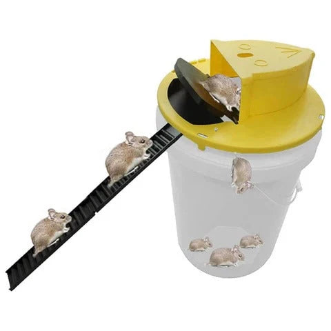 Bucket Rodent Trap Auto-Reset Fits 5-Gallon Bucket Two Ladders