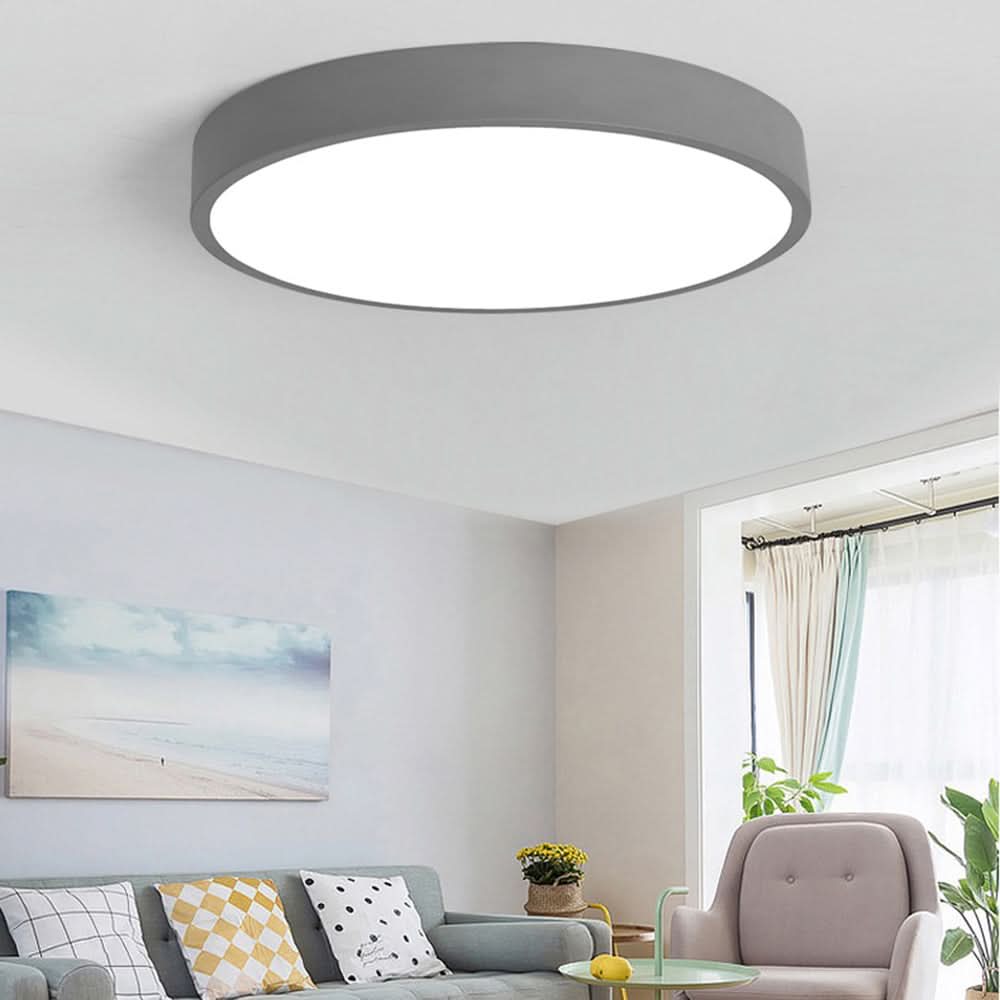 Ceiling Light Integrated LED Dimmable