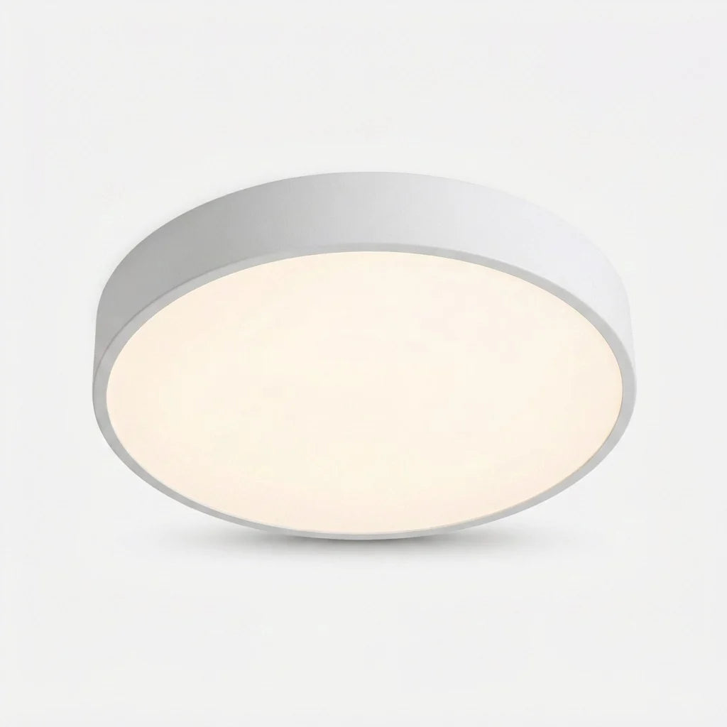 Ceiling Light Integrated LED Energy Efficient