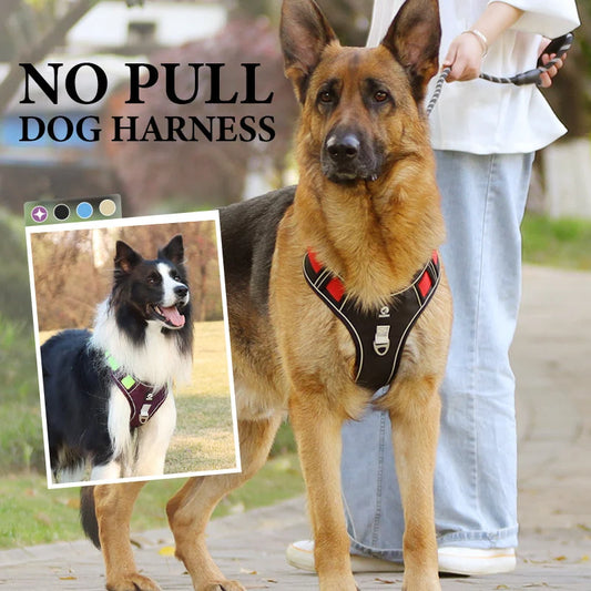 Dog Harness Set Anti-Pull Front-Clip LED Collar & Leash