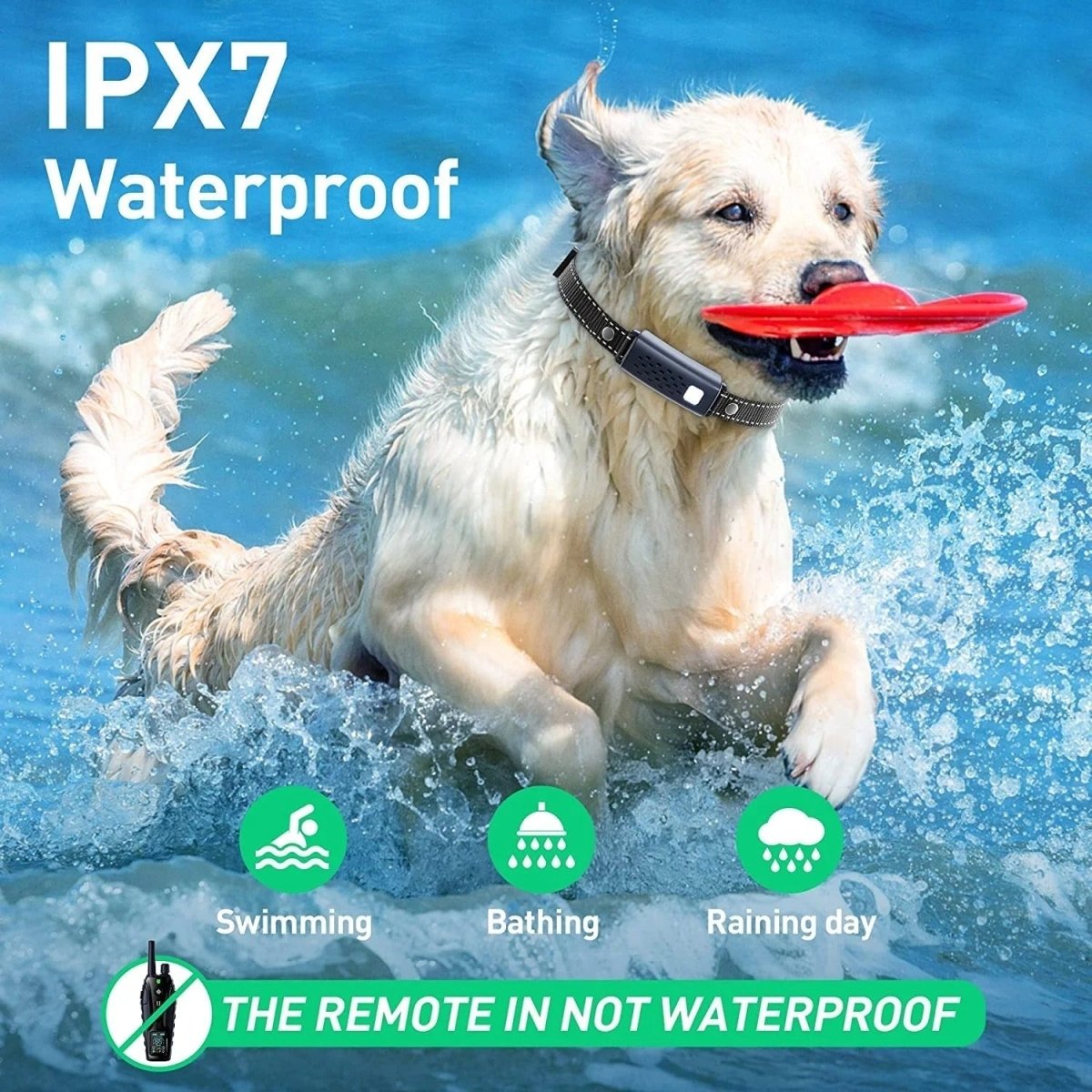 Dog Training Collar & Remote Long-Range IP67 Waterproof