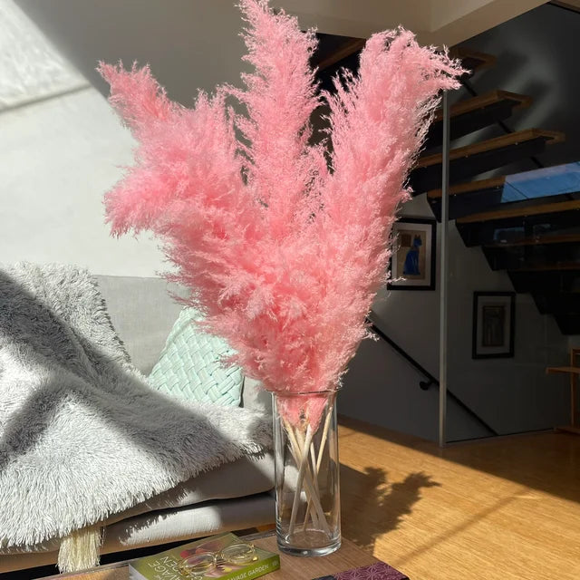 Dried Pampas Grass for Bohemian Decor