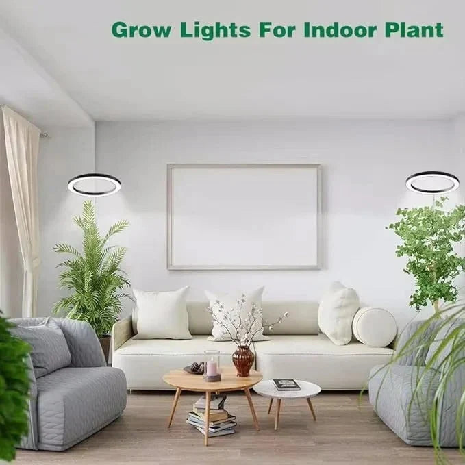 LED Grow Light Full-Spectrum Adjustable Height Built-In Timer