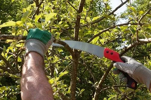 Pruning Saw Chrome Steel Triangular Teeth & Non-Slip Handle