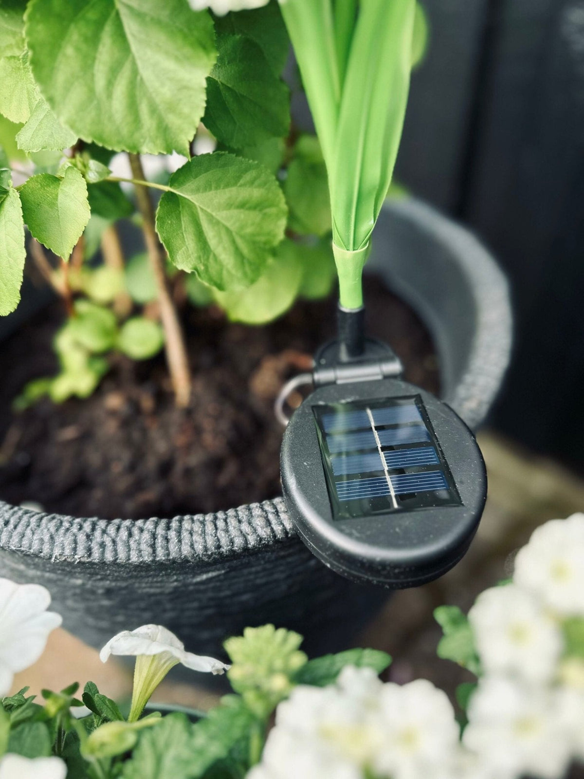 Solar Garden Stake Flexible 3 Flower Spheres