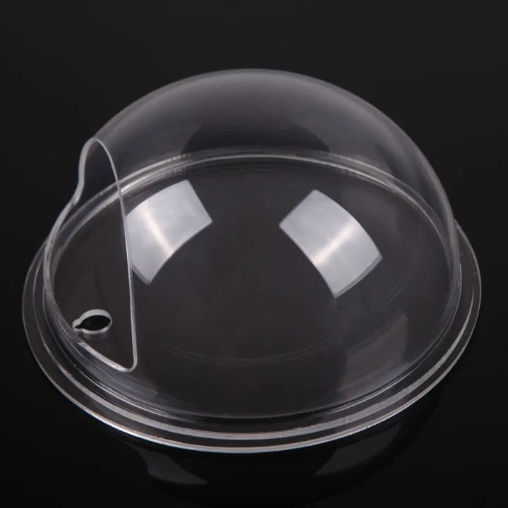 Wall Planter Peel & Stick Transparent Acrylic