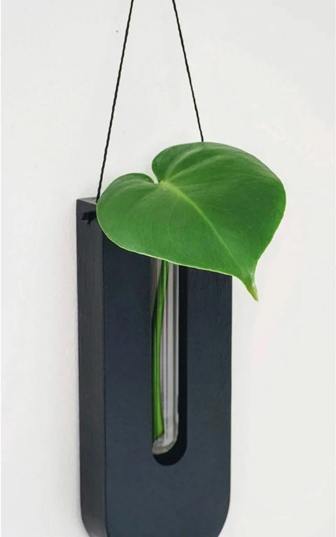Wall Vase Set Natural Pine Wood Glass Tubes 7-Piece