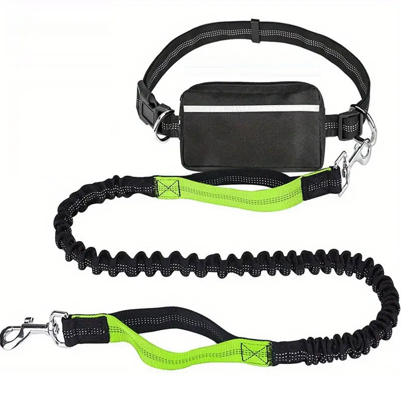 Hands-Free Dog Leash Shock-Absorbing Bungee & Zipper Pocket