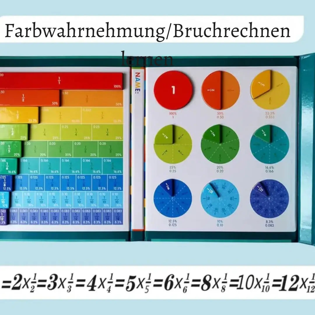 Fraction Learning Set Magnetic Tiles & Discs Eco Plywood