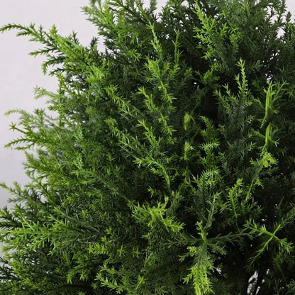 Topiary Tree Lifelike UV-Resistant Indoor & Outdoor 45 cm