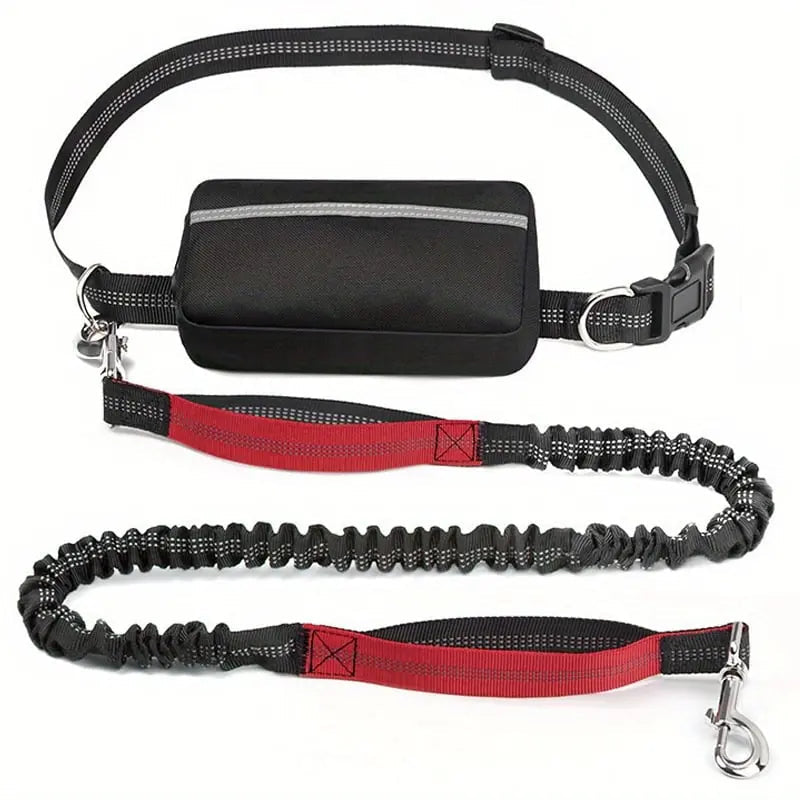 Hands-Free Dog Leash Shock-Absorbing Bungee & Zipper Pocket