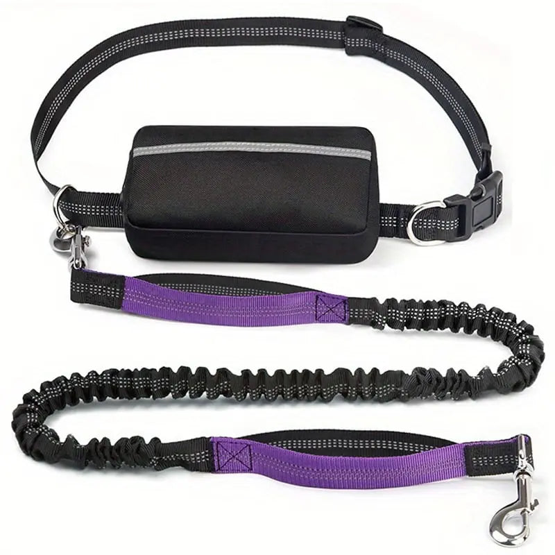 Hands-Free Dog Leash Shock-Absorbing Bungee & Zipper Pocket