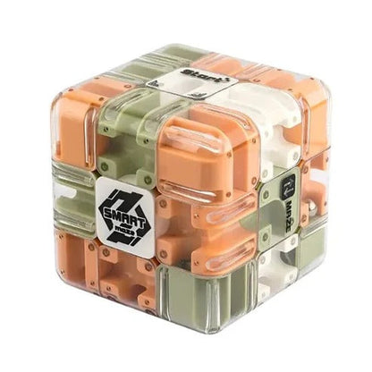 3D Maze Cube Puzzle Transparent & Stainless Steel Ball