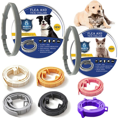8-Month Pet Collar for Protection Against Ticks and Fleas