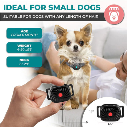 Adjustable Anti-Bark Collar for Small Dogs | Vibration & Sound | IP87 Waterproof