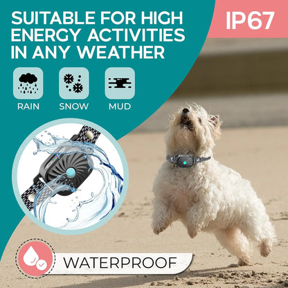 Adjustable Anti-Bark Collar for Small Dogs | Vibration & Sound | IP87 Waterproof