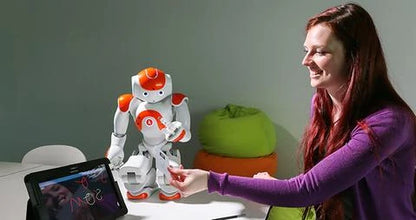 Advanced Humanoid Robot Companion Featuring Cutting-Edge Artificial Intelligence