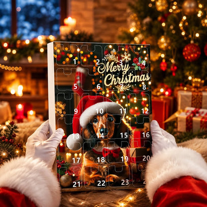 Advent Calendar Dachshund 24 Daily Surprises