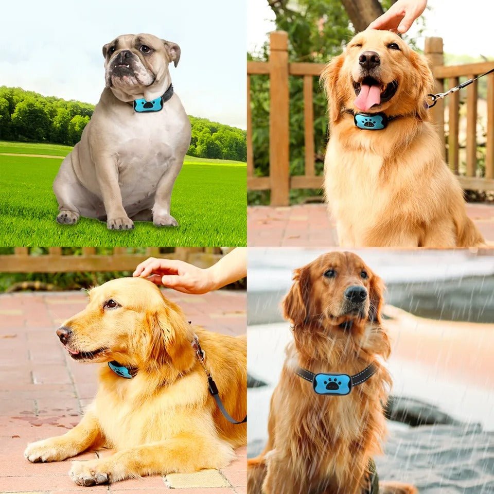 Anti-Bark Collar Sound Wave Correction Adjustable Fit