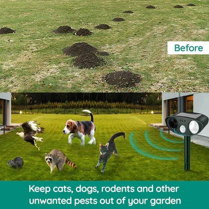 Armadillo Repellent Motion-Activated Solar-Powered Weatherproof