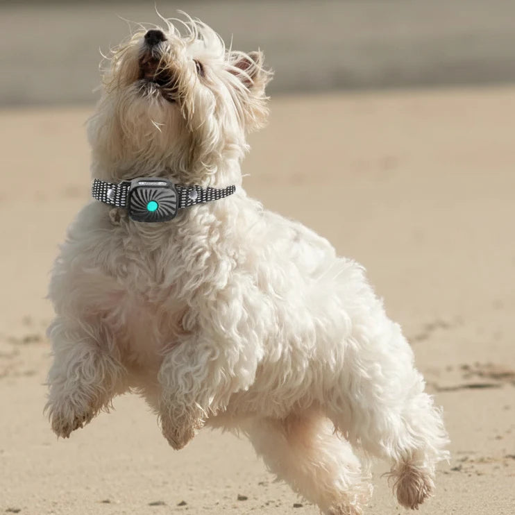 Bark Control Collar Sound & Vibration Intelligent Detection