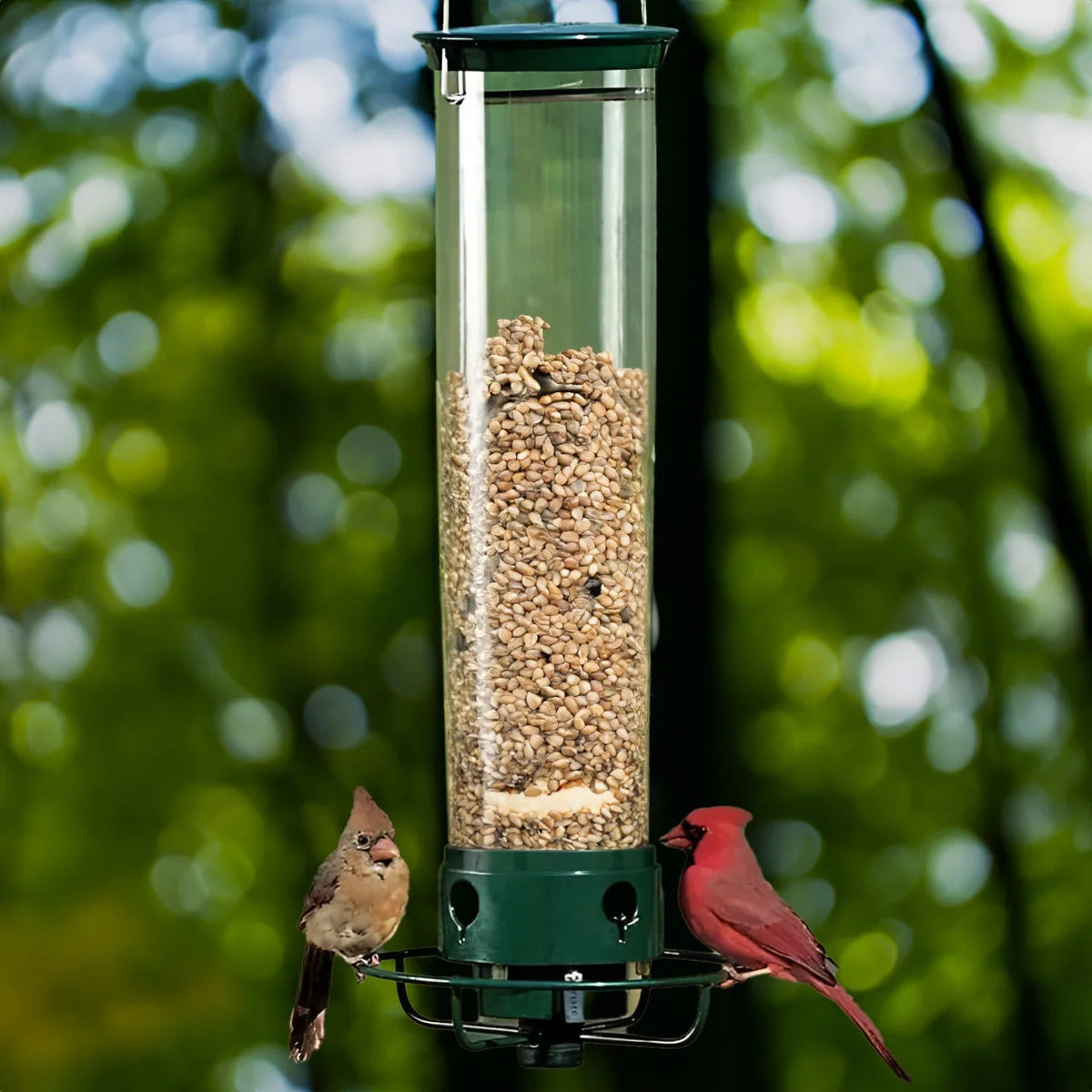 Bird Feeder Weight-Activated Spinning Perch 5 Pound Capacity