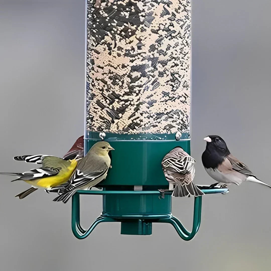 Bird Feeder Weight-Activated Spinning Perch 5 Pound Capacity