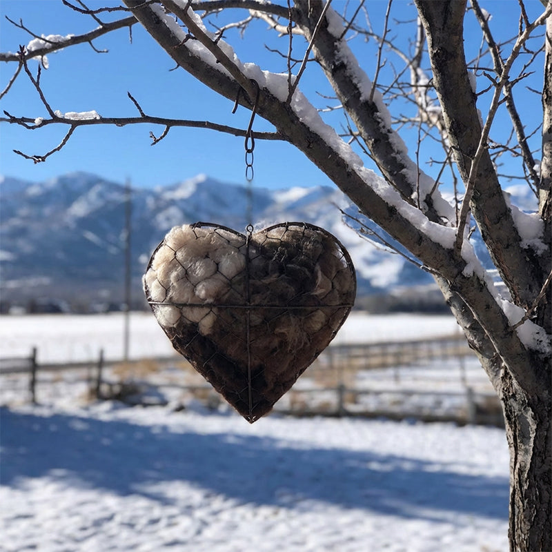 Bird Nesting Holder Heart-Shaped Weatherproof Iron