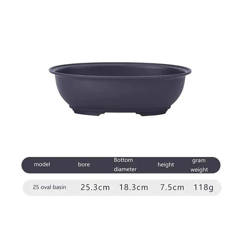 Bonsai & Succulent Planter Breathable Indoor