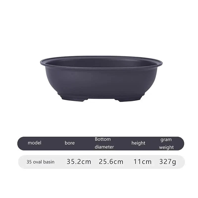 Bonsai & Succulent Planter Breathable Indoor