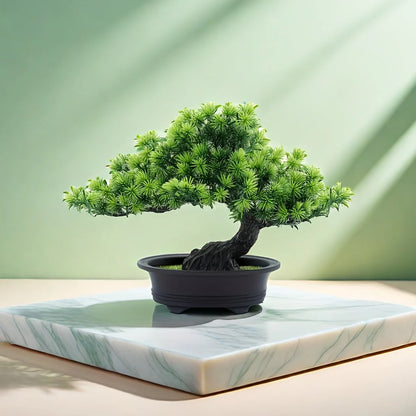 Bonsai Tree 24 cm | Evergreen and Easy Care | Comes with Black Pot