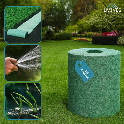 Buy One Get One Free | Simple Care Green Lawn Solution