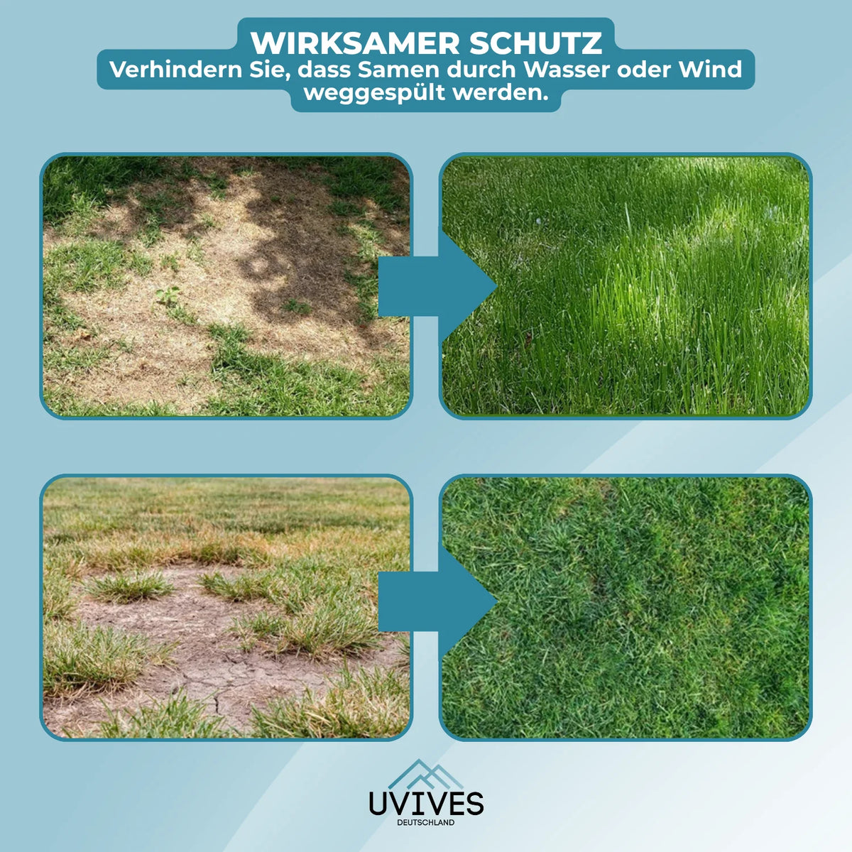 Buy One Get One Free | Simple Care Green Lawn Solution