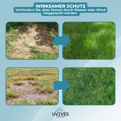 Buy One Get One Free | Simple Care Green Lawn Solution