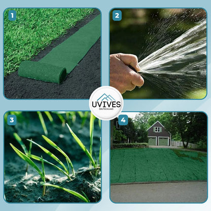 Buy One Get One Free | Simple Care Green Lawn Solution