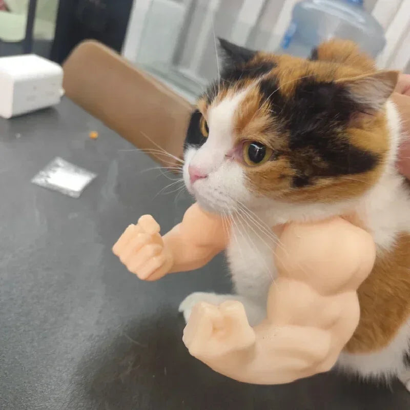 Cat Collar Bodybuilder Arms Lightweight ABS Plastic