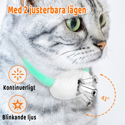 Cat Collar Motion-Activated Laser USB Rechargeable Adjustable Fit
