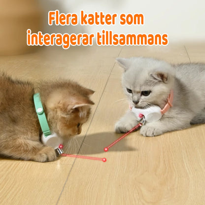 Cat Collar Motion-Activated Laser USB Rechargeable Adjustable Fit