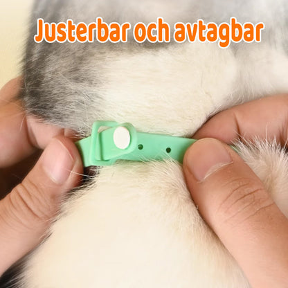 Cat Collar Motion-Activated Laser USB Rechargeable Adjustable Fit