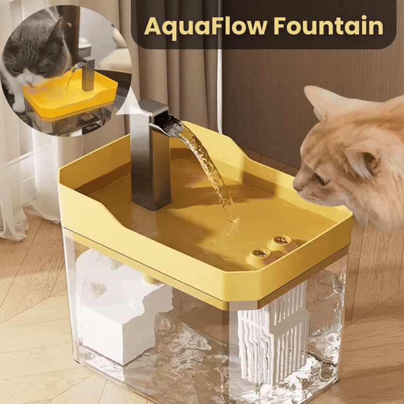 Cat Drinking Fountain 360° Water Flow Whisper-Quiet Pump