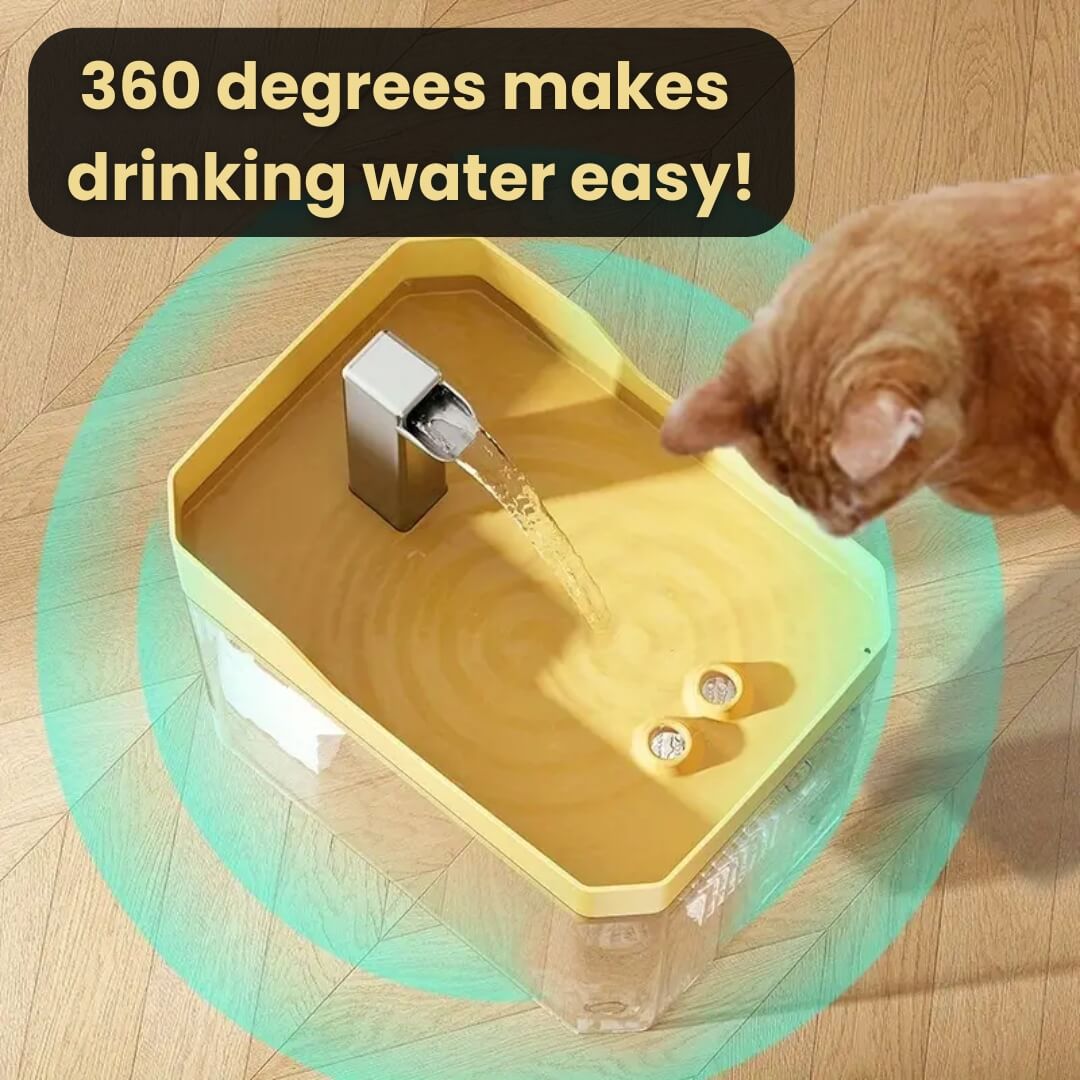 Cat Drinking Fountain 360° Water Flow Whisper-Quiet Pump