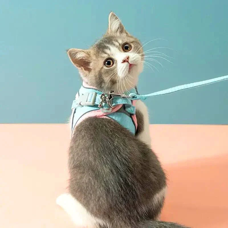 Cat Harness & Leash Padded Reflective Quick-Release
