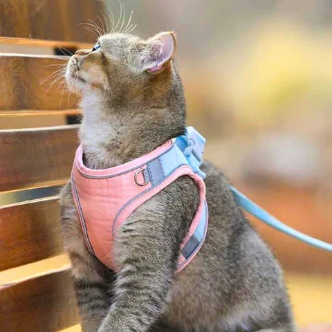 Cat Harness & Leash Padded Reflective Quick-Release