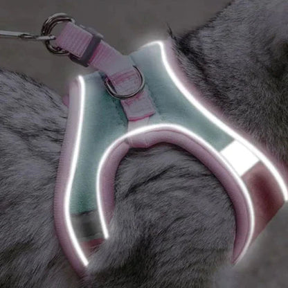 Cat Harness & Leash Padded Reflective Quick-Release