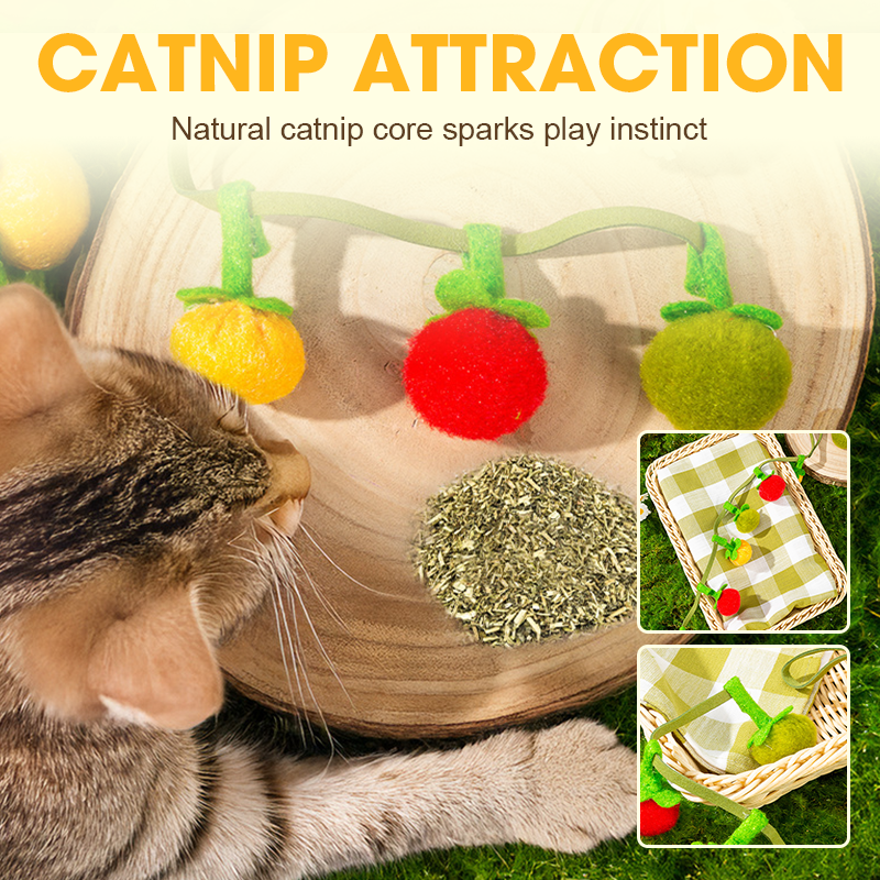 Cat Toy Interactive Bite-Resistant Catnip & Bell