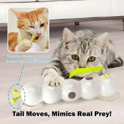 Cat Toy Rotating Motion Suction Cup Wall Mount USB Rechargeable