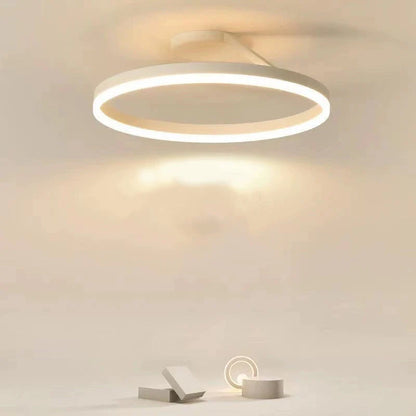 Ceiling Light Flush Mount LED Dimmable With Remote Control