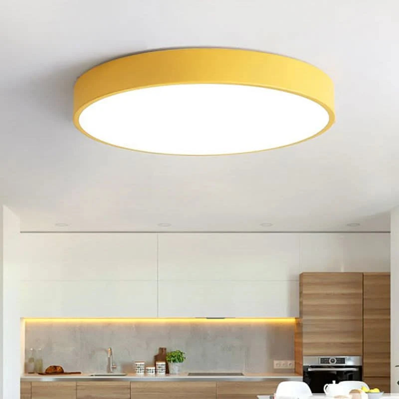Ceiling Light Integrated LED Dimmable
