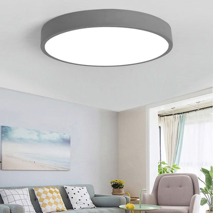 Ceiling Light Integrated LED Dimmable