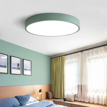 Ceiling Light Integrated LED Dimmable